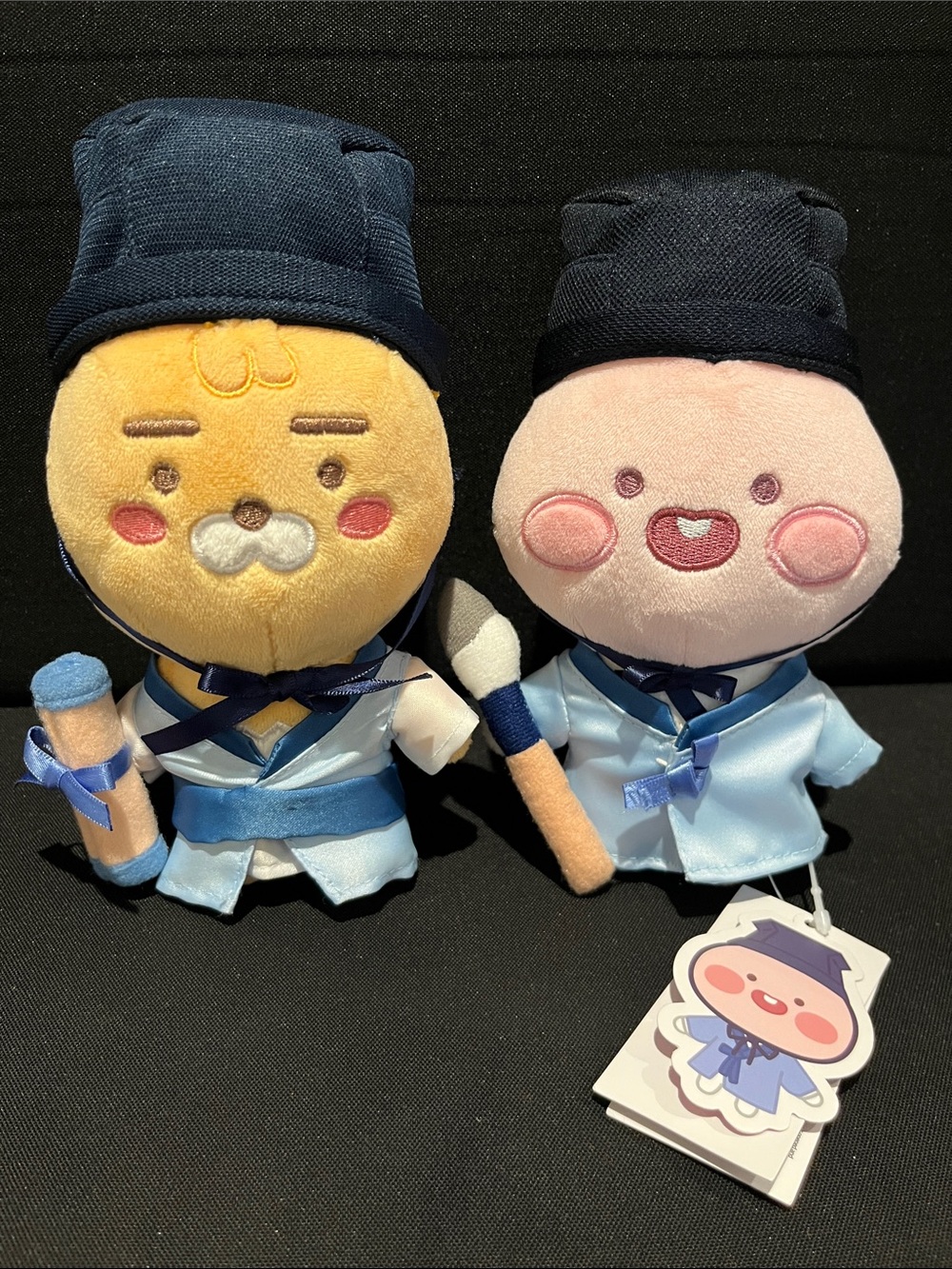 FRIENDS Roy (brown) & Apeach (pink) Navy-Blue Graduation Plush Duo